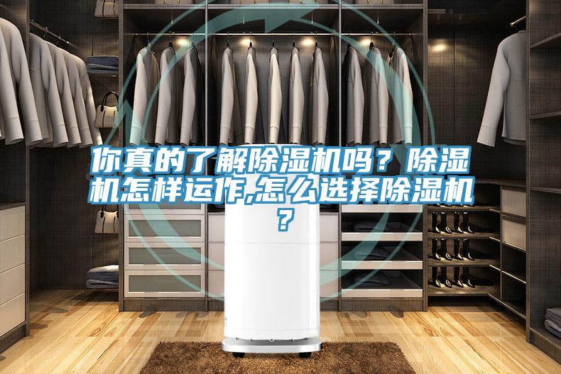 你真的了解除濕機(jī)嗎？除濕機(jī)怎樣運(yùn)作,怎么選擇除濕機(jī)？