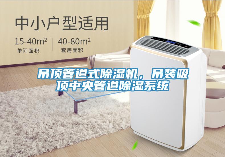 吊頂管道式除濕機，吊裝吸頂中央管道除濕系統(tǒng)