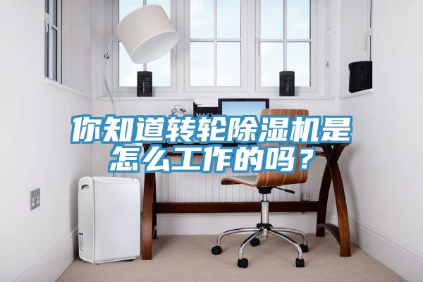 你知道轉(zhuǎn)輪除濕機是怎么工作的嗎？