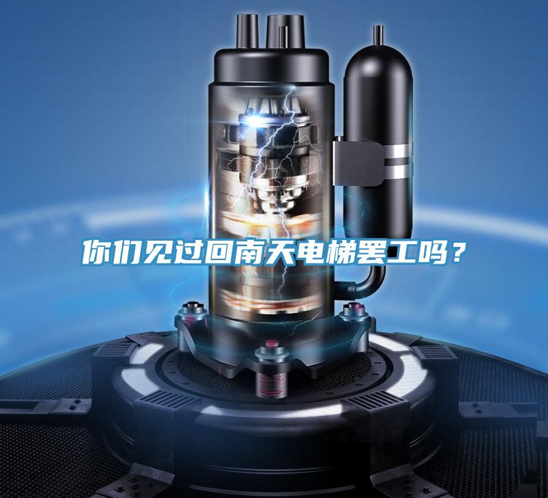 你們見過回南天電梯罷工嗎？