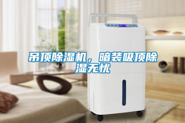 吊頂除濕機(jī)，暗裝吸頂除濕無(wú)憂