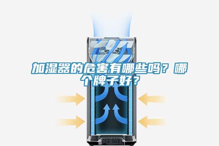 加濕器的危害有哪些嗎？哪個(gè)牌子好？