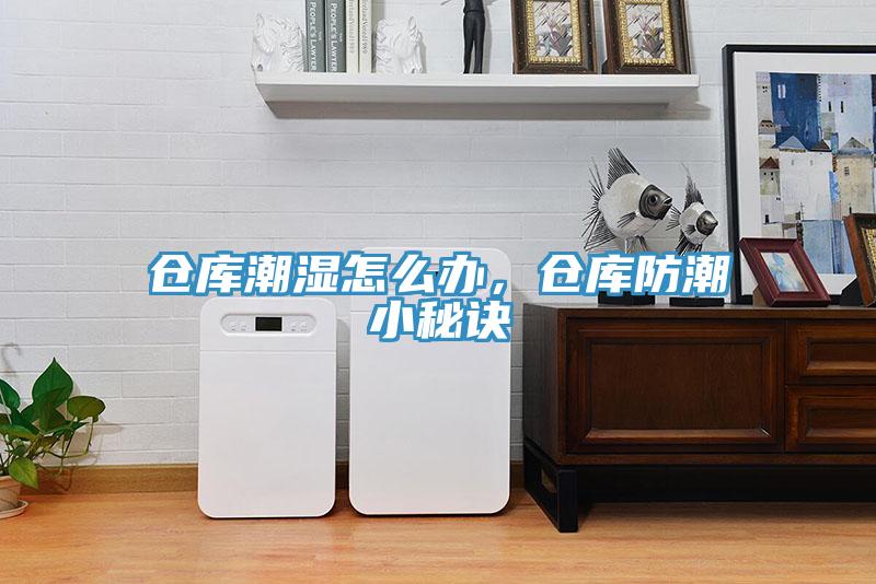 倉(cāng)庫(kù)潮濕怎么辦，倉(cāng)庫(kù)防潮小秘訣