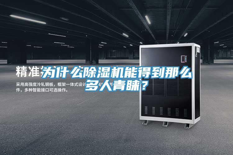 為什么除濕機(jī)能得到那么多人青睞？