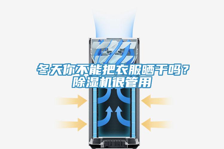 冬天你不能把衣服曬干嗎？除濕機很管用