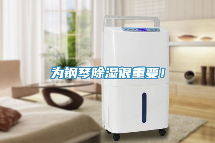 為鋼琴除濕很重要！
