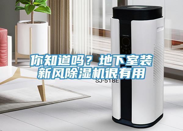 你知道嗎？地下室裝新風(fēng)除濕機(jī)很有用