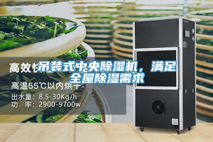 吊裝式中央除濕機，滿足全屋除濕需求