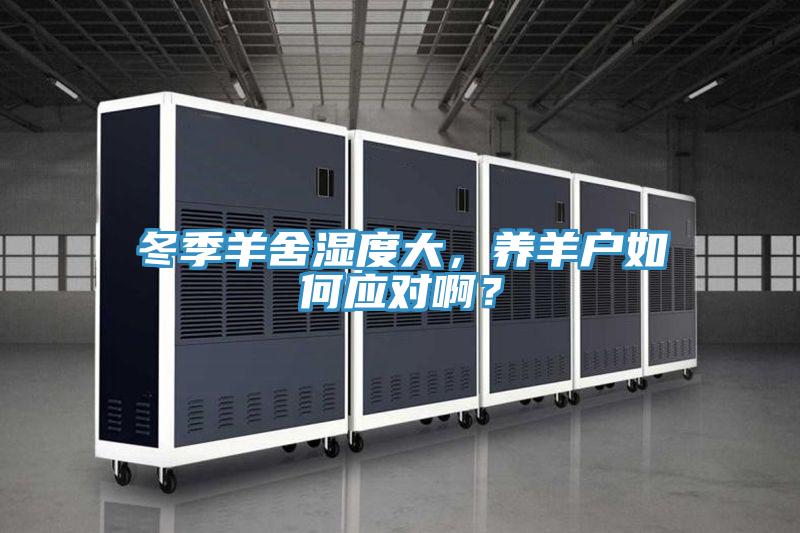 冬季羊舍濕度大，養(yǎng)羊戶如何應對啊？