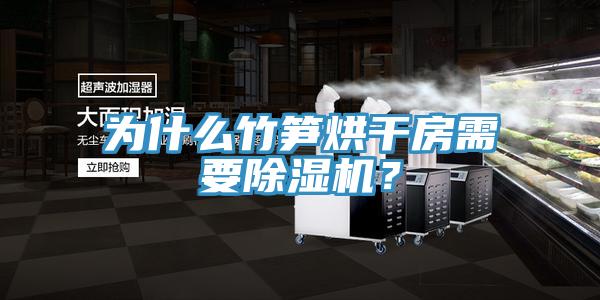 為什么竹筍烘干房需要除濕機(jī)？