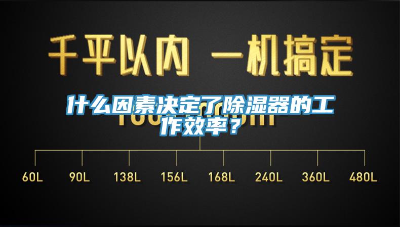 什么因素決定了除濕器的工作效率？
