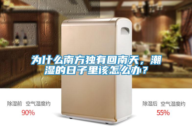 為什么南方獨(dú)有回南天，潮濕的日子里該怎么辦？