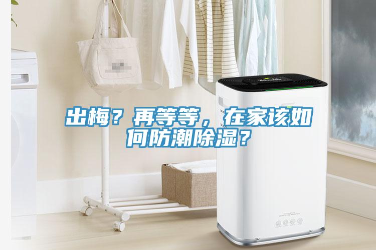 出梅？再等等，在家該如何防潮除濕？