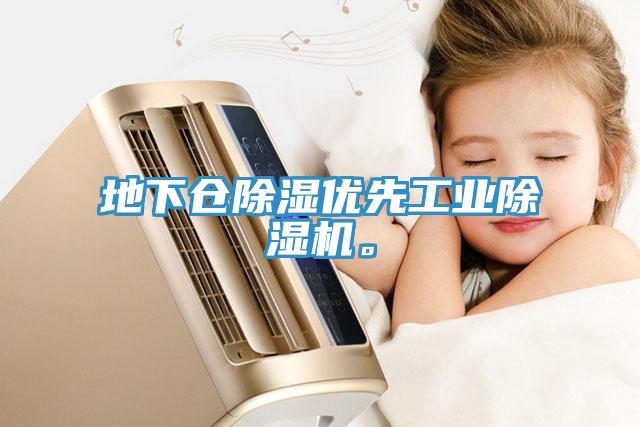 地下倉(cāng)除濕優(yōu)先工業(yè)除濕機(jī)。