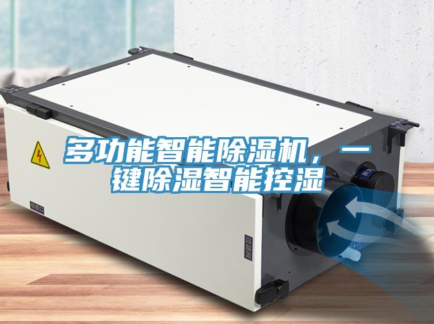 多功能智能除濕機(jī)，一鍵除濕智能控濕