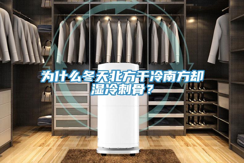 為什么冬天北方干冷南方卻濕冷刺骨？