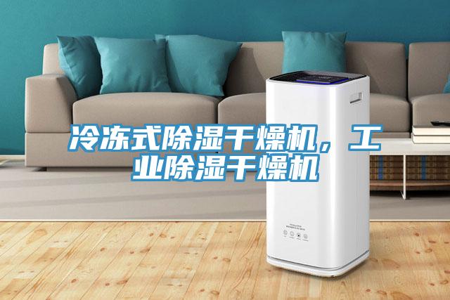 冷凍式除濕干燥機，工業(yè)除濕干燥機