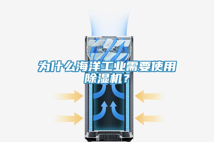 為什么海洋工業(yè)需要使用除濕機(jī)？