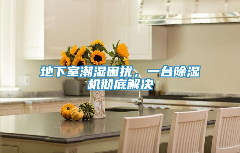 地下室潮濕困擾，一臺(tái)除濕機(jī)徹底解決