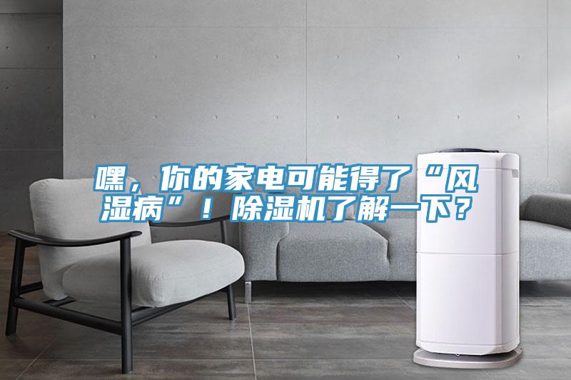 嘿，你的家電可能得了“風(fēng)濕病”！除濕機(jī)了解一下？