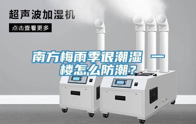 南方梅雨季很潮濕 一樓怎么防潮？