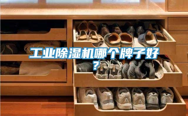 工業(yè)除濕機(jī)哪個(gè)牌子好？
