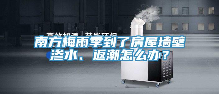 南方梅雨季到了房屋墻壁滲水、返潮怎么辦？