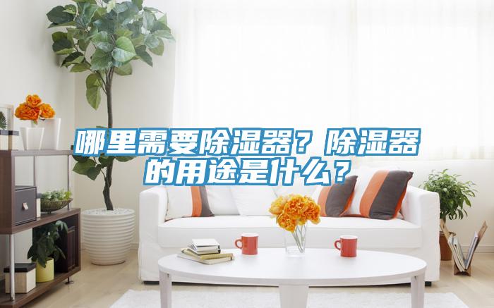 哪里需要除濕器？除濕器的用途是什么？