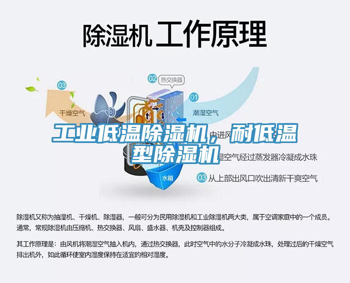 工業(yè)低溫除濕機，耐低溫型除濕機