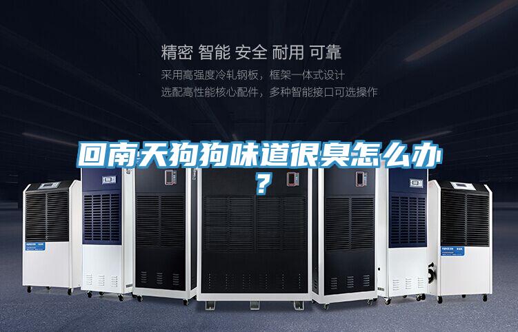 回南天狗狗味道很臭怎么辦？