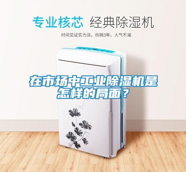 在市場中工業(yè)除濕機是怎樣的局面？