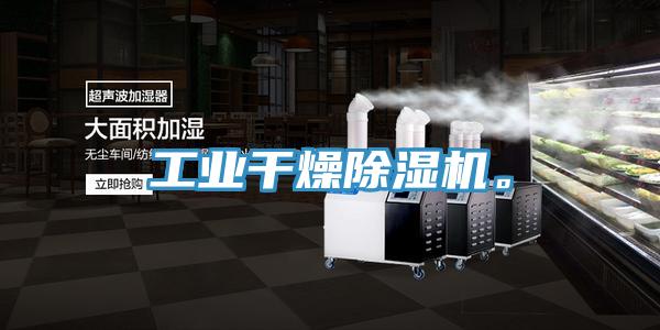 工業(yè)干燥除濕機。