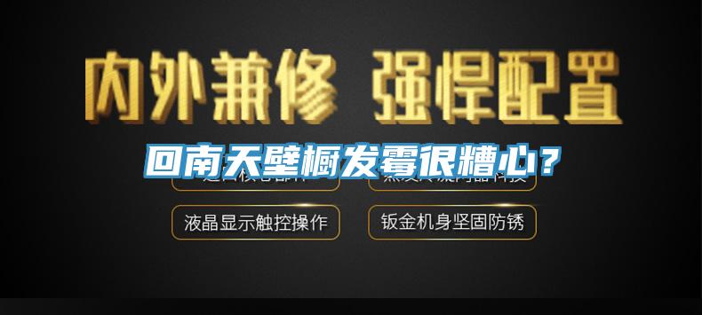 回南天壁櫥發(fā)霉很糟心？