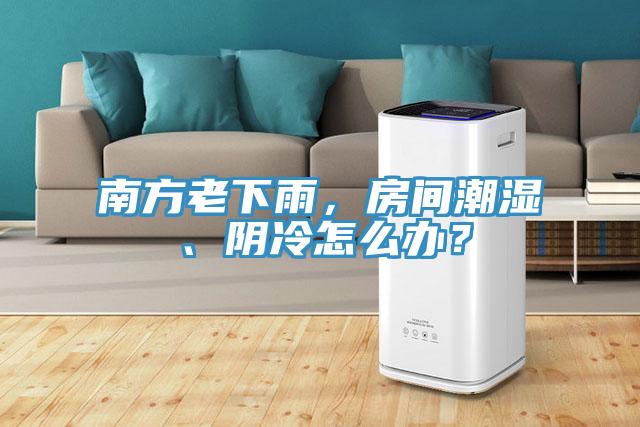 南方老下雨，房間潮濕、陰冷怎么辦？