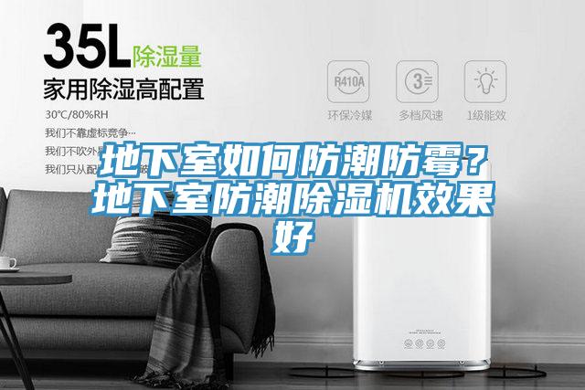 地下室如何防潮防霉？地下室防潮除濕機(jī)效果好