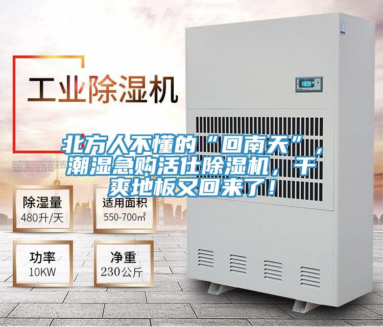 北方人不懂的“回南天”，潮濕急購活仕除濕機，干爽地板又回來了！