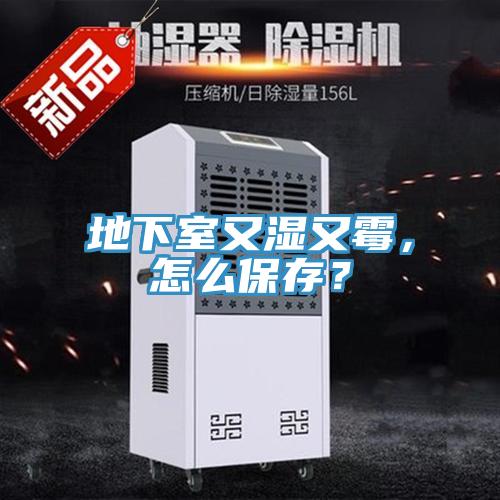 地下室又濕又霉，怎么保存？