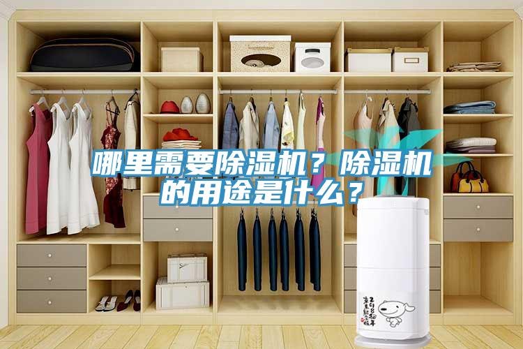 哪里需要除濕機(jī)？除濕機(jī)的用途是什么？