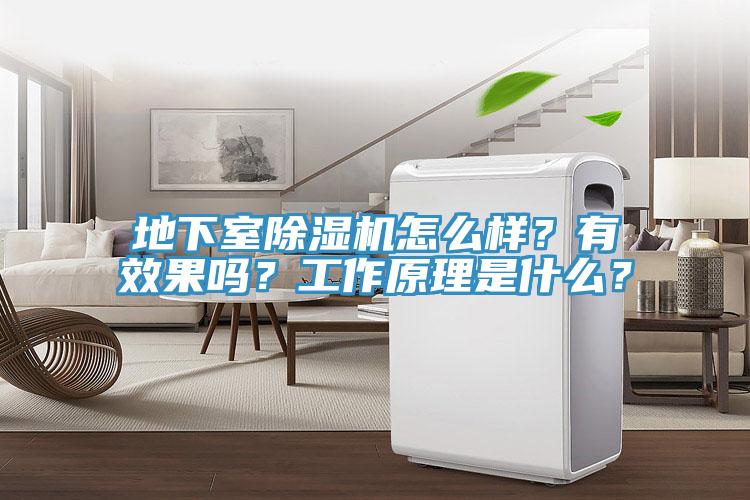 地下室除濕機怎么樣？有效果嗎？工作原理是什么？