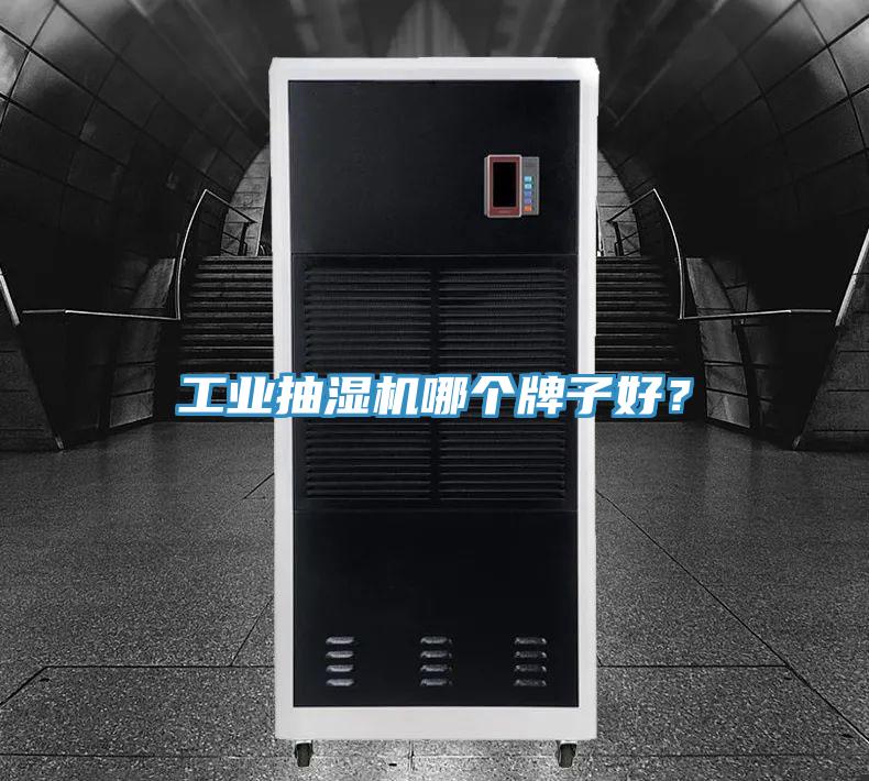 工業(yè)抽濕機哪個牌子好？