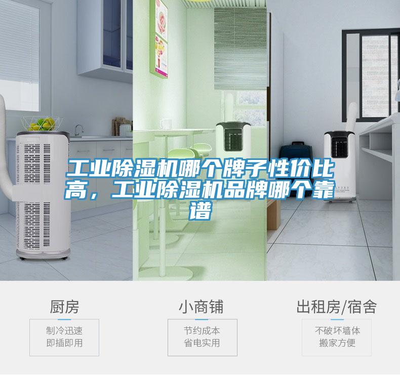 工業(yè)除濕機哪個牌子性價比高，工業(yè)除濕機品牌哪個靠譜