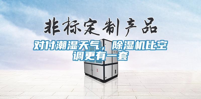 對(duì)付潮濕天氣，除濕機(jī)比空調(diào)更有一套