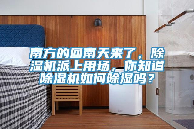南方的回南天來了，除濕機派上用場，你知道除濕機如何除濕嗎？