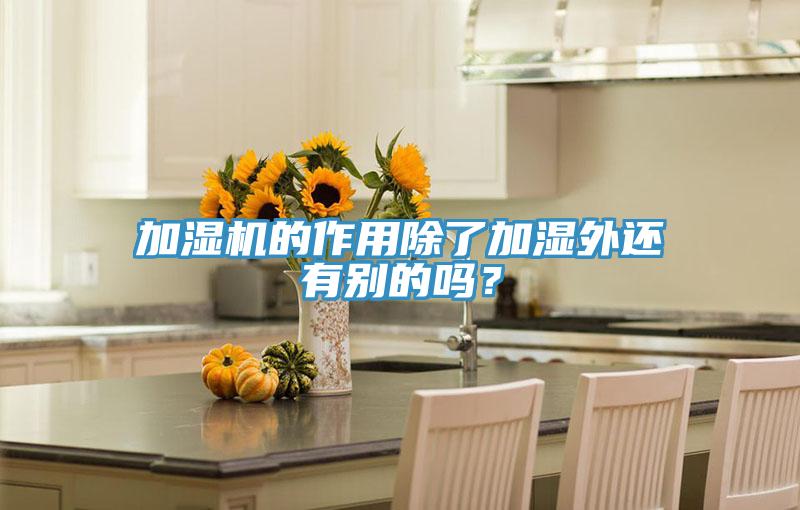 加濕機(jī)的作用除了加濕外還有別的嗎？