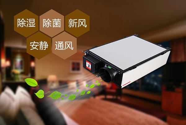 雙十一剛過，雙十二如約而至，濕冷還受得了嗎？