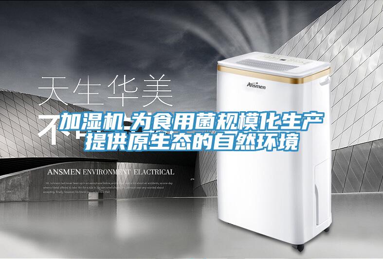 加濕機(jī)　為食用菌規(guī)?；a(chǎn)提供原生態(tài)的自然環(huán)境