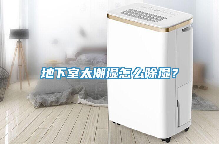 地下室太潮濕怎么除濕？