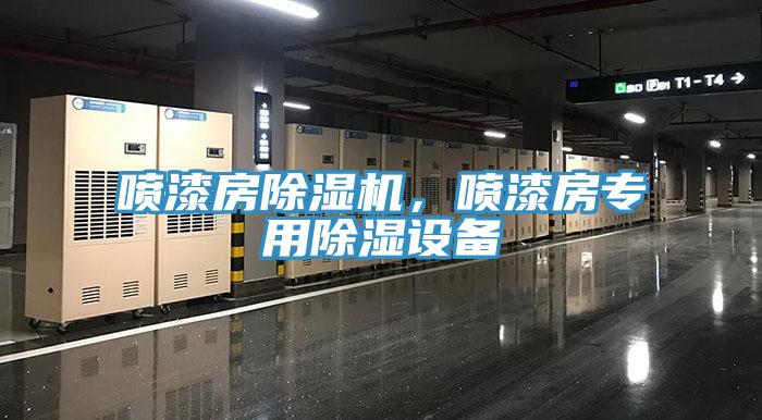 噴漆房除濕機，噴漆房專用除濕設(shè)備