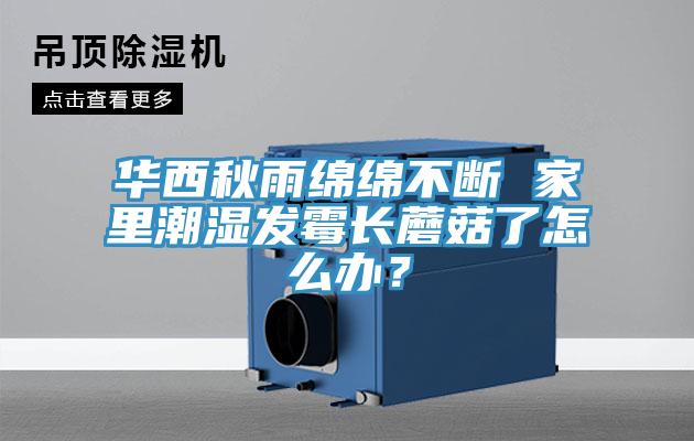 華西秋雨綿綿不斷 家里潮濕發(fā)霉長(zhǎng)蘑菇了怎么辦？