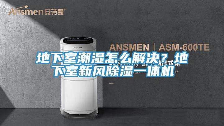 地下室潮濕怎么解決？地下室新風除濕一體機